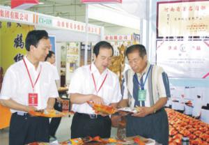 原安陽(yáng)市市長(zhǎng)董永安、副市長(zhǎng)陳明今到公司調(diào)研